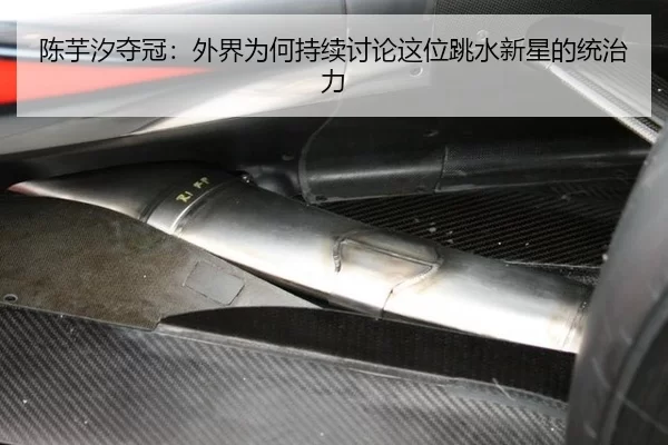 陈芋汐夺冠：外界为何持续讨论这位跳水新星的统治力 - JXsport